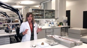 Viking Ship Museum: Taking Care of the Viking Legacy