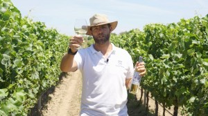 At home in Portugal’s Quinta da Lagoalva de Cima with winemaker Diogo Campilho