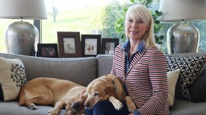 Welcome to Viking.TV