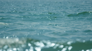 Meditation: Mindfulness with Mona Therese