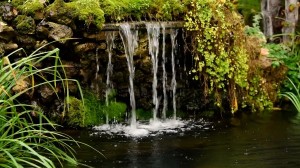 Meditation: Mindfulness with Mona Therese