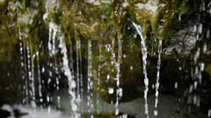 Meditation: Mindfulness with Mona Therese