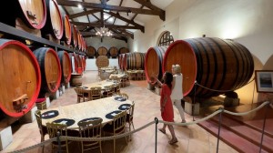 Explore the fruit of Avignon’s olive groves and vineyards and discover what makes this region’s wines so remarkable