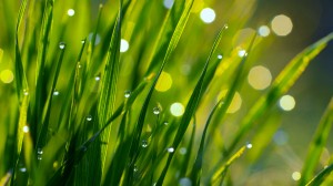 Podcast: Mindfulness with Mona Therese (Breath Awareness Meditation)