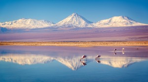 Enjoy the acclaimed documentary film, Searching for Light, An Astronomer's Guide, by Gary Fildes