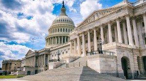 Anne Diamond interviews author Melinda Bates