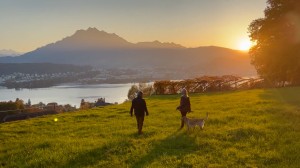 Journey to the Black Forest, Basel & beyond with photographer Alastair Miller