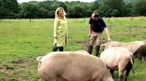 Immerse yourself in farm life at Highclere Castle with Lady Carnarvon