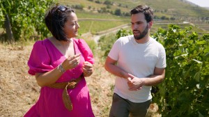 Discover the world of Sandeman port wine at Quinta do Seixo