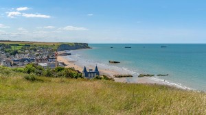 Delve into World War II History