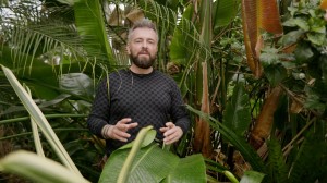 Take a botanical odyssey through Liverpool with Paul Hervey-Brookes