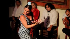 Catch The Fire of Flamenco