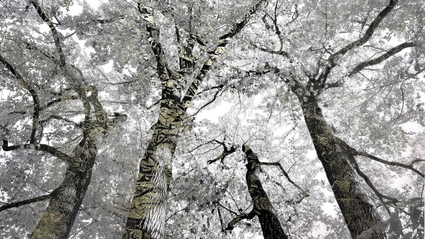 Alastair Miller in conversation with Artist Bill Claps