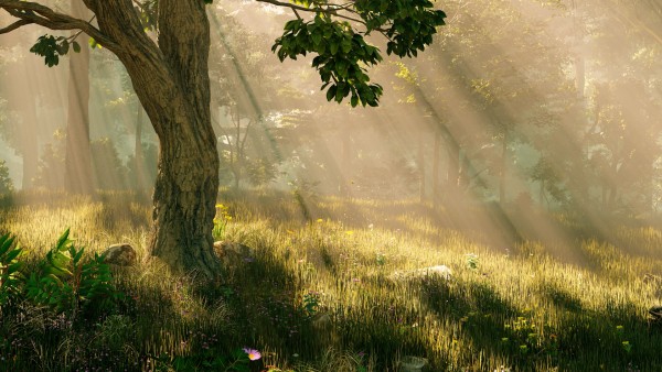 Meditation: Mindfulness with Mona Therese
