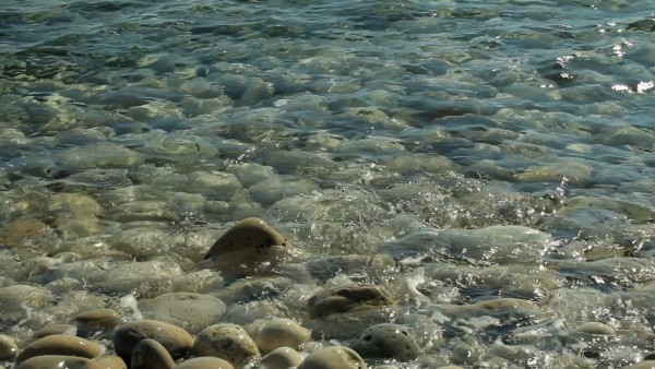 Meditation: Mindfulness with Mona Therese