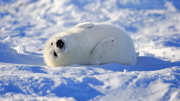 Discover our Canada & the Atlantic Coastline itinerary with Aaron Lawton