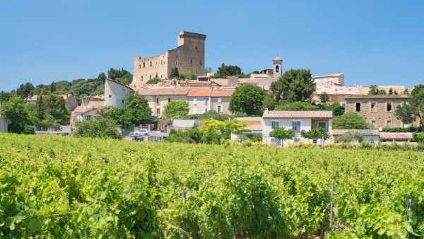 Explore the Rhône Valley’s Roman past with Viking’s Nikolas Rabogliatti 