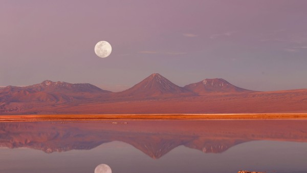 Embark on a space odyssey with Searching for Light, an Astronomer's Guide