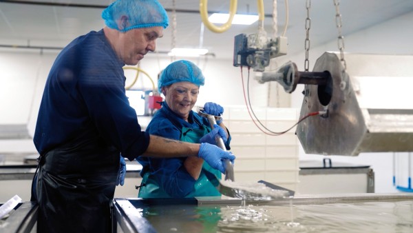 Meet the artisanal salt makers of Anglesey with Anne Diamond