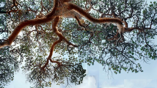 See the remote Norwegian landscapes that inspire artist Espen Tollefsen’s work