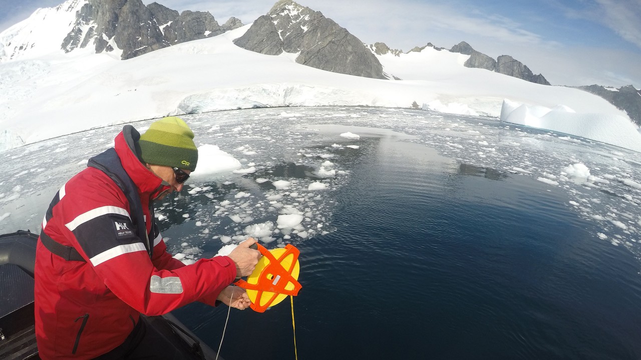 Exploring Citizen Science with Dr. Damon Stanwell-Smith, Laura Smith and Allison Cusick)
