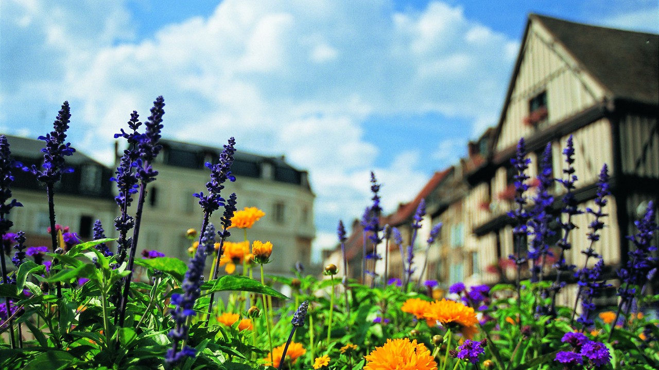 At home in Vernon with local guide and painter Patricia Rynski d'Argence)