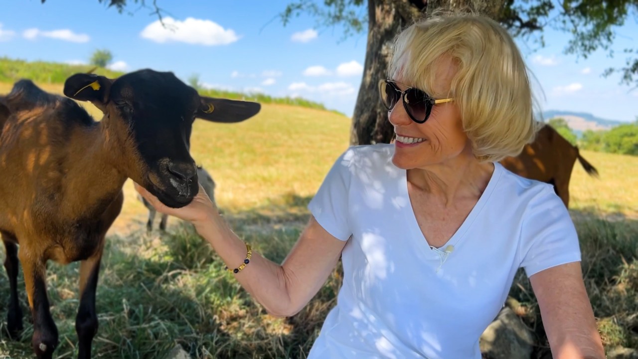 Discover the culinary treasures of Lyon and learn why Beaujolais is one of France’s most beloved wine regions)