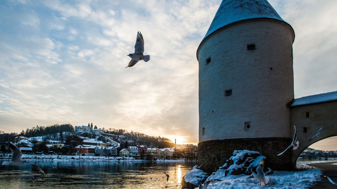 Viking Ambassador-at-Large Jean Newman Glock shares her memories of the Danube River)