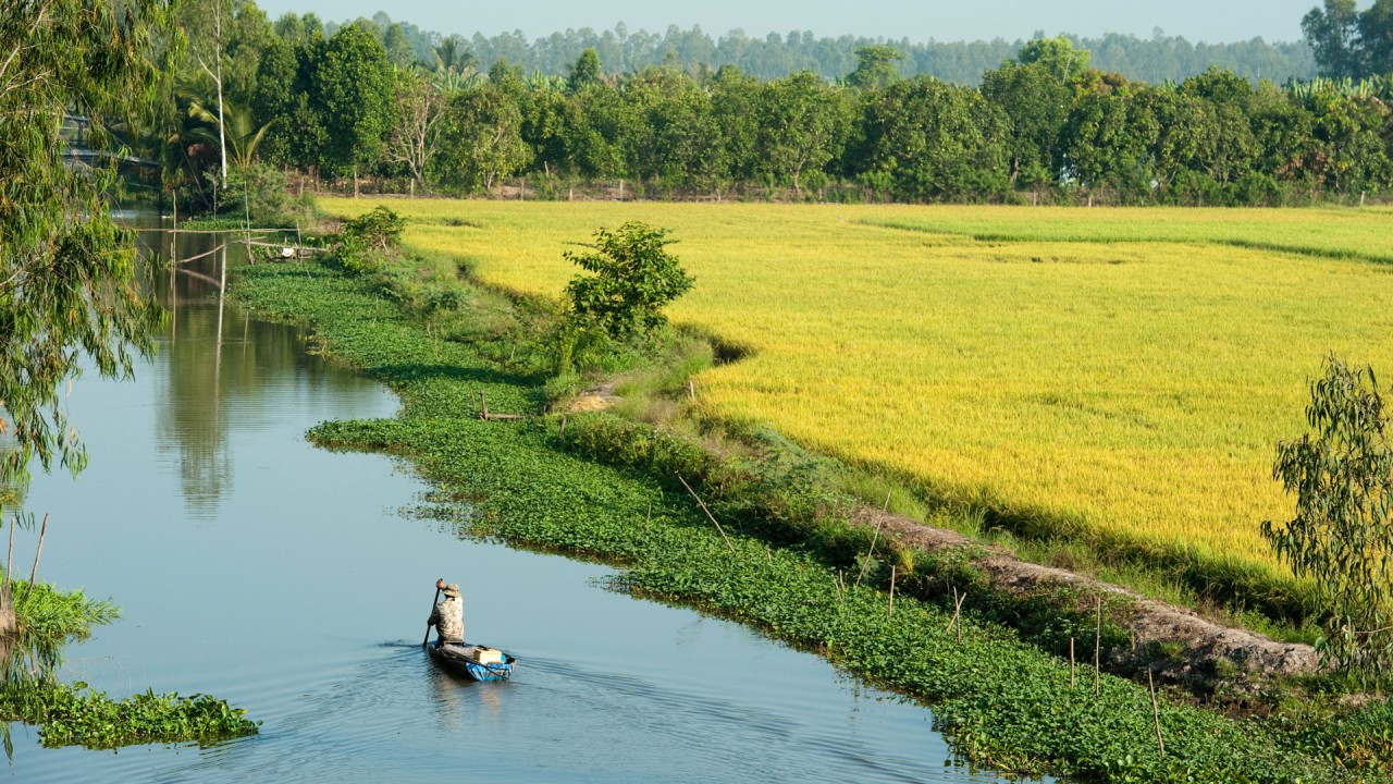 Deepen your appreciation of the mighty Mekong River with Dr. John Freedman)