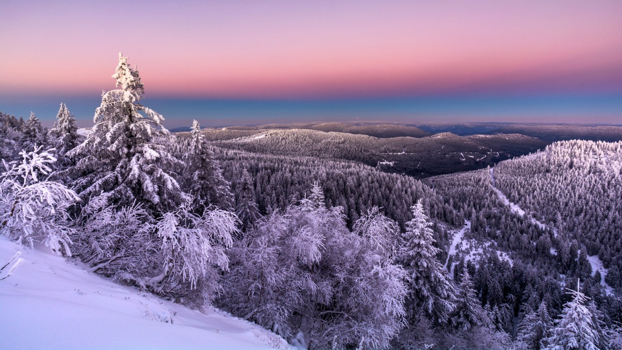 Savor regional specialities from Breisach to Basel)