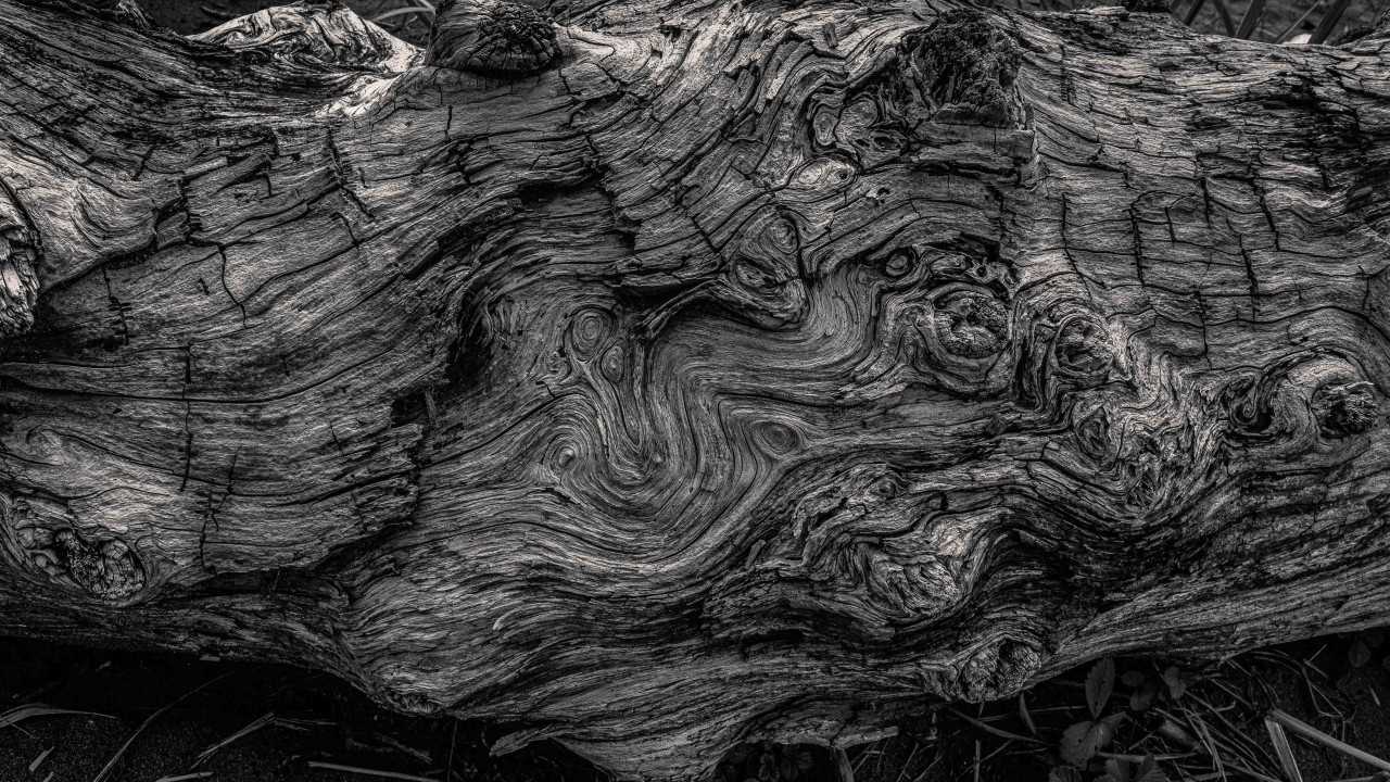 Yoga Nidra (Good Night)